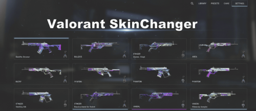 Valorant Skin Changer