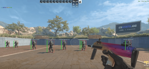 Raidriar CS2