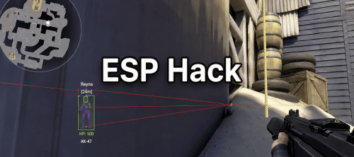 ESP  Valorant