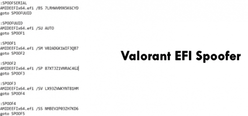 Valorant EFI Spoofer
